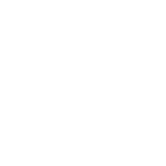Roof Cleaning